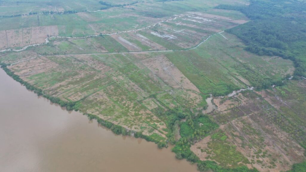 TANAH MURAH DI TANJUNG CARAT